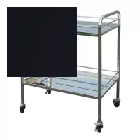 Xe đẩy y tế inox XED01